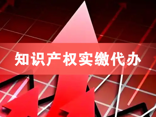 沧州知识产权实缴资本代办